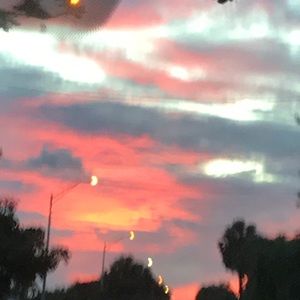 Meet your Posher, Eva